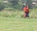 The majestic Maribou Stork at Lake Nakuru National Park